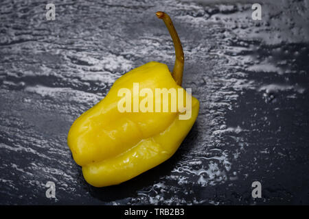 Gebeizt Golden griechische Paprika, pepperoncini oder Friggitelli (süßen italienischen Chili) auf Naturstein Hintergrund. Capsicum annuum. Stockfoto