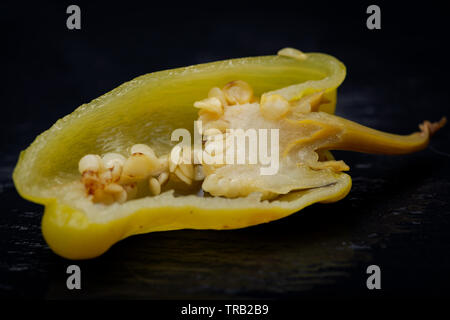 Gebeizt Golden griechische Paprika, pepperoncini oder Friggitelli (süßen italienischen Chili) auf Naturstein Hintergrund. Capsicum annuum. Stockfoto