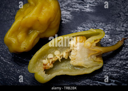 Gebeizt Golden griechische Paprika, pepperoncini oder Friggitelli (süßen italienischen Chili) auf Naturstein Hintergrund. Capsicum annuum. Stockfoto