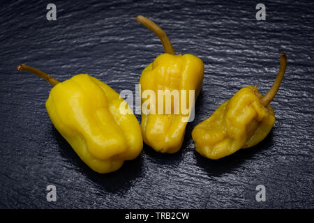 Gebeizt Golden griechische Paprika, pepperoncini oder Friggitelli (süßen italienischen Chili) auf Naturstein Hintergrund. Capsicum annuum. Stockfoto