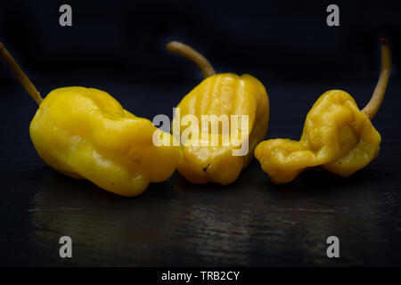 Gebeizt Golden griechische Paprika, pepperoncini oder Friggitelli (süßen italienischen Chili) auf Naturstein Hintergrund. Capsicum annuum. Stockfoto