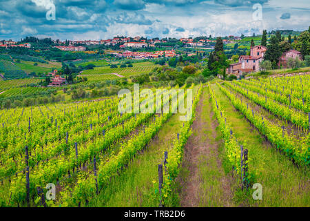 Schöne Traube Zeilen und grünen Weinbergen. Landwirtschaftliche Fläche mit Trauben und Bauernhäuser. Toskana Stadtbild mit Panzano in Chianti Stadt auf dem Hügel, Es Stockfoto