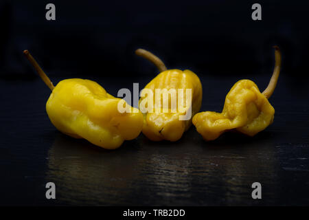 Gebeizt Golden griechische Paprika, pepperoncini oder Friggitelli (süßen italienischen Chili) auf Naturstein Hintergrund. Capsicum annuum. Stockfoto