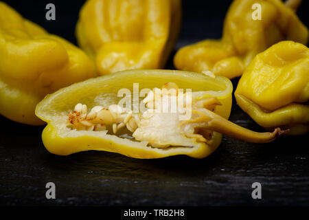 Gebeizt Golden griechische Paprika, pepperoncini oder Friggitelli (süßen italienischen Chili) auf Naturstein Hintergrund. Capsicum annuum. Stockfoto