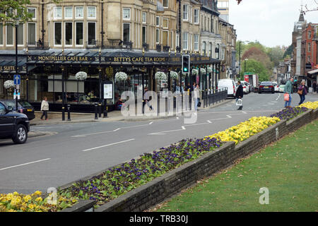 Betty's Tea Room Café auf Montpellier Hill in der Kurstadt Harrogate, North Yorkshire, England, UK. Stockfoto