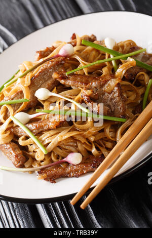 Beef Chow Fun Nudeln (Pan-Fried Ho Fun) kantonesische Gerichte Nahaufnahme auf die Platte auf dem Holztisch. Vertikale Stockfoto