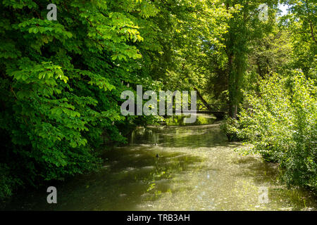 Parc Leonardo da Vinci von Clos Luce, Amboise, Indre-et-Loire Departement, Center-Val de Loire, Frankreich, Europa Stockfoto