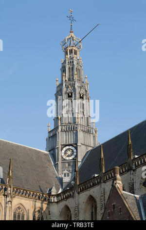 Grote Kerk oder St. Bavokerk, Haarlem, Niederlande. Stockfoto