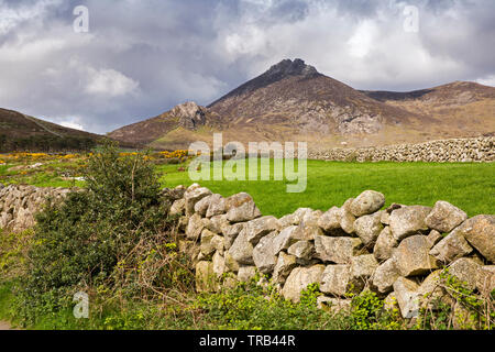 Nordirland, Co unten, hohe Mournes, Trockenmauer gesäumt Lane und Slieve Binnian Stockfoto