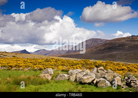 Nordirland, Co unten, hohe Mournes, felsige Landschaft am Gelben Wasser Tal Stockfoto