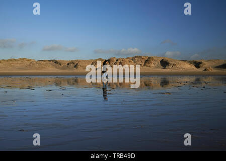 Asiatische Frau Wandern auf nassem Sand mit Dünen und Hügeln im seichten Wasser in gestochen scharfer Winter Sonnenschein mit blauem Himmel widerspiegelt Stockfoto