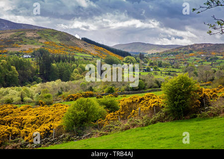 Nordirland, Co Down, Shimna River Valley, Clanachullion Brücke, Blick auf Ackerland entlang Shimna River Tal in Richtung Butter Mountain Stockfoto