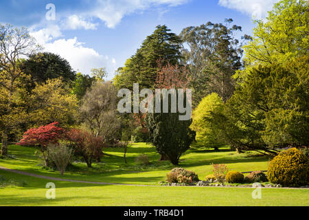 Nordirland, Co Down, Bryansford, Tollymore Forest Park, angelegten Parklandschaft Stockfoto