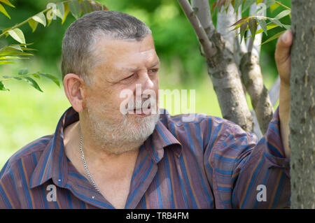 Portrait von bärtigen Kaukasischen älterer Mann stand unter dem Baum und Suchen Stockfoto