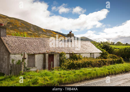 Nordirland, Co Down, Rostrevor, niedrige Mournes, verlassenen Haus mit Ginster bedeckt Knockshee Berg hinter Stockfoto