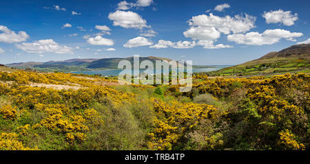 Irland, Co Louth, Halbinsel Cooley, Omeath, Clarmontpass Brücke, Blick hinunter auf Carlingford Lough und Moune in den Bergen, Panoramaaussicht Stockfoto