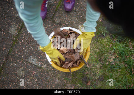 POV einer Frau die abgestorbenen Blätter in einem Eimer beim Frühjahrsputz im Garten. Sie trägt eine gelbe Gummihandschuhe Stockfoto