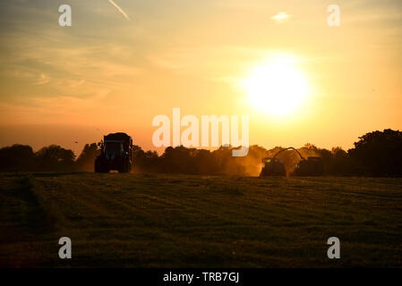 Silage Zeit im Tal Stockfoto