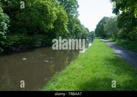 Ein Blick auf die Leeds Liverpool Canal in der Nähe von Chorley, Lancashire, Großbritannien Stockfoto