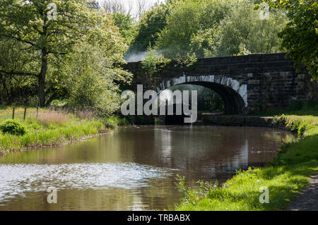 Ein Blick auf die Leeds Liverpool Canal in der Nähe von Chorley, Lancashire, Großbritannien Stockfoto