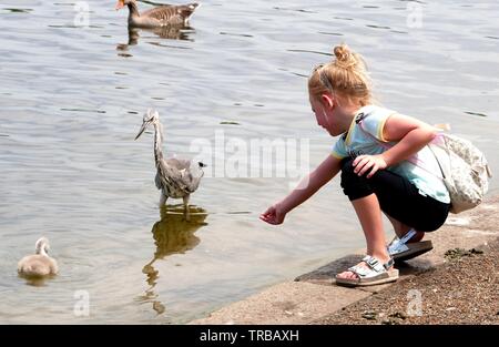 London, Großbritannien. 02 Juni, 2019. Londoners, um die Parks als milde Wetter weiter Credit: Brian Minkoff/Alamy leben Nachrichten Stockfoto