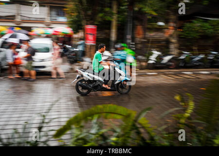 Schwenkender Schuss eines lokalen Mannes, der in Ubud, Baliurba, einen Roller fährt Stockfoto