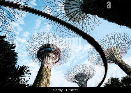 Suchen am Supertree Grove, Gärten an der Bucht, Singapur Stockfoto