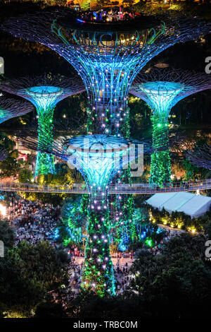 Die Supertree Grove in Gärten an der Bucht in der Nacht als von der Marina Bay Sands Hotel, Singapur gesehen Stockfoto