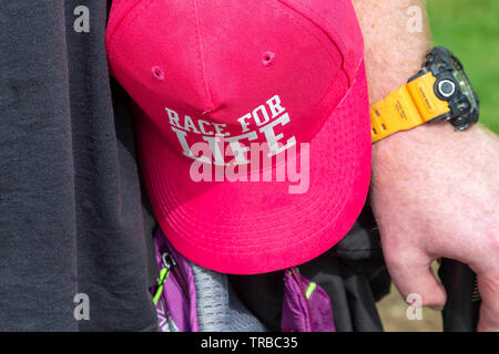 Warrington, Großbritannien. 2. Juni 2019. Rennen für das Leben 2019, Warrington, zugunsten der Krebsforschung Credit: John Hopkins/Alamy leben Nachrichten Stockfoto