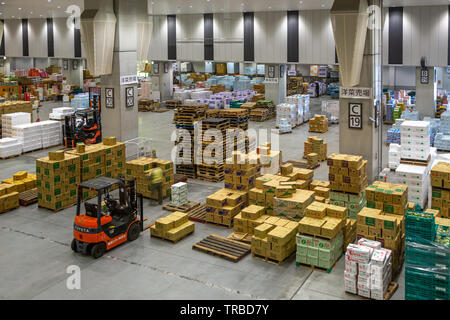 Tokyo, Japan - 23. Februar 2019 - Obstmarkt Arbeiter fleißig arbeiten im Lager, am 23. Februar 2019 in Tokio, Japan. Stockfoto