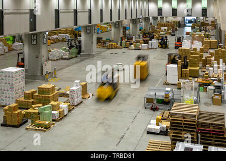 Tokyo, Japan - 23. Februar 2019 - Obstmarkt Arbeiter fleißig arbeiten im Lager, am 23. Februar 2019 in Tokio, Japan. Stockfoto