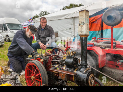 Helena, Cork, Irland. 02 Juni, 2019. Phil Byrne, slievenamon von Ian Walsh, Clonmel, Kohle in den Kessel der Modell eines Burrell Dampfmaschine am Innishannon Dampf- und Vintage Kundgebung an Innshannon, Co Cork, Irland Quelle: David Creedon/Alamy Live News Credit: David Creedon/Alamy Live News Credit: David Creedon/Alamy Leben Nachrichten aufgepaßt Stockfoto