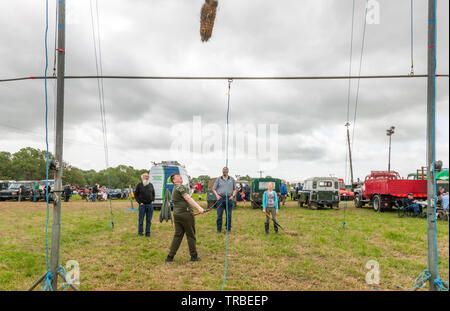 Helena, Cork, Irland. 02 Juni, 2019. Séan Casey von Coachford Teilnahme an Garbe werfen, auf die Vincent von seinem Großvater, Vater, Diarmuid und Schwester, Rebecca Casey an der Innishannon Dampf- und Vintage Kundgebung an Innshannon, Co Cork, Irland Quelle: David Creedon/Alamy Leben Nachrichten aufgepaßt Stockfoto