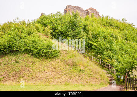 Auge schloss, Auge, Suffolk, Großbritannien. Eine Motte und Bailey Burg im 11. Jahrhundert Norman mit viktorianischen Torheit Gebäude Ruine Stockfoto