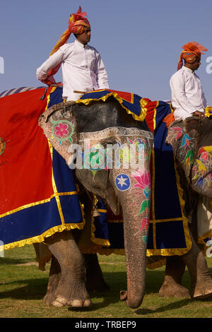 Dekoriert Elefanten und mahouts Parade an der jährlichen Elephant Festival in Jaipur, der Hauptstadt von Rajasthan. Stockfoto