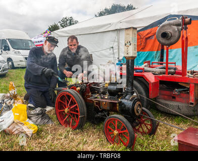 Helena, Cork, Irland. 02 Juni, 2019. Phil Byrne, slievenamon von Ian Walsh, Clonmel, Kohle in den Kessel der Modell eines Burrell Dampfmaschine am Innishannon Dampf- und Vintage Kundgebung an Innshannon, Co Cork, Irland Quelle: David Creedon/Alamy Leben Nachrichten aufgepaßt Stockfoto