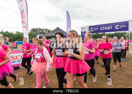 Warrington, Großbritannien. 2. Juni 2019. Warrington, Großbritannien. 2. Juni 2019. Rennen für das Leben 2019, Warrington, zugunsten der Krebsforschung Kredit Kredit: John Hopkins/Alamy leben Nachrichten Stockfoto