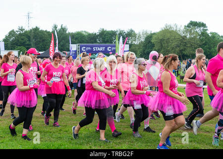 Warrington, Großbritannien. 2. Juni 2019. Rennen für das Leben 2019, Warrington, zugunsten der Krebsforschung. Beim Start eines der Rennen Credit: John Hopkins/Alamy leben Nachrichten Stockfoto