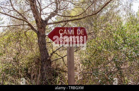 Ein Pfad auf der Cami de Cavalls an der Küste zu Fuß in Menorca Insel. Stockfoto