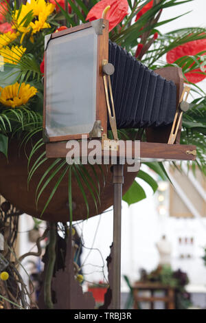 Vintage antik Falten Holz- hälfte Platte leder Faltenbalg Kamera Stockfoto