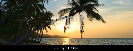 Schöne Bild horizontal einen atemberaubenden Sonnenuntergang über Siam Golf auf der Samui Insel bei Sonnenuntergang, schiefen Palmen über dem Wasser Sonne golden Lights Stockfoto