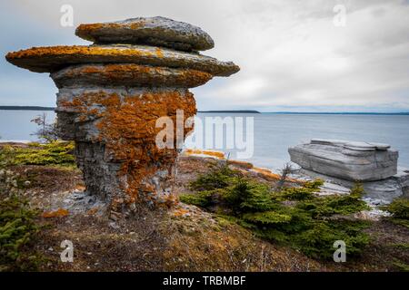 Bunte Flechten bedeckt Monolithen in Mingan Archipelago National Park Reserve, Quebec, Kanada. Stockfoto