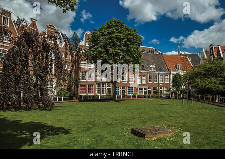 Typische Häuser und grünen Garten des Begijnhof, einem mittelalterlichen Gemeinschaft in Amsterdam. Stadt mit riesigen kulturelle Aktivität, Kanäle und Brücken in den Niederlanden. Stockfoto