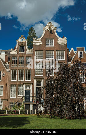 Typische Häuser und grünen Garten des Begijnhof, einem mittelalterlichen Gemeinschaft in Amsterdam. Stadt mit riesigen kulturelle Aktivität, Kanäle und Brücken in den Niederlanden. Stockfoto