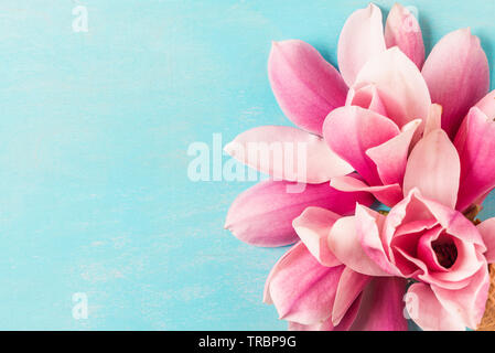 Pink Magnolia Blumen Blumenstrauß in Eis auf blauem Hintergrund. Hochzeit oder Urlaub Hintergrund. Flach. Ansicht von oben mit der Kopie Raum. Nach oben Schließen Stockfoto