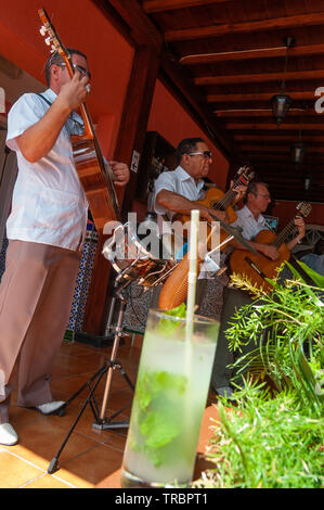 Drei männlichen Gitarristen spielen während des Tages in einer Bar in der Altstadt, Havanna, Kuba, Karibik Stockfoto