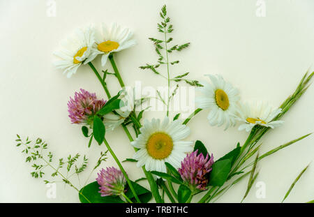 Hintergrund Karten aus gewelltem Papier, auf dem ein Bouquet von wilden Blumen und Kräuter. Stockfoto