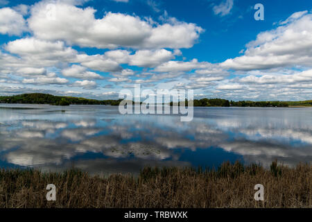 Ferienhaus See mit placid Lake, Cloud Reflexion über Wasser, blauer Himmel mit weißen flauschigen Wolken und grünen Wald Stockfoto