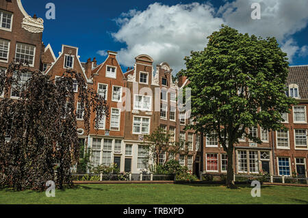 Doppelhaushälfte typischen Häusern und grünen Garten des Begijnhof in Amsterdam. Stadt mit riesigen kulturelle Aktivität, Kanäle und Brücken in den Niederlanden. Stockfoto