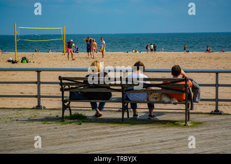 Zwei Frau, Mann und der Hund zwischen ihnen sitzen auf der Bank vor der Strand und beobachten die Leute spielen Sie Volleyball. Stockfoto